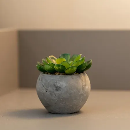 Lights & Comfort - 2br Bucharest