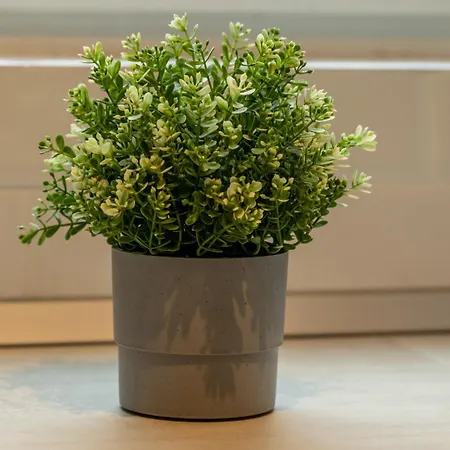 Lights & Comfort - 2br *