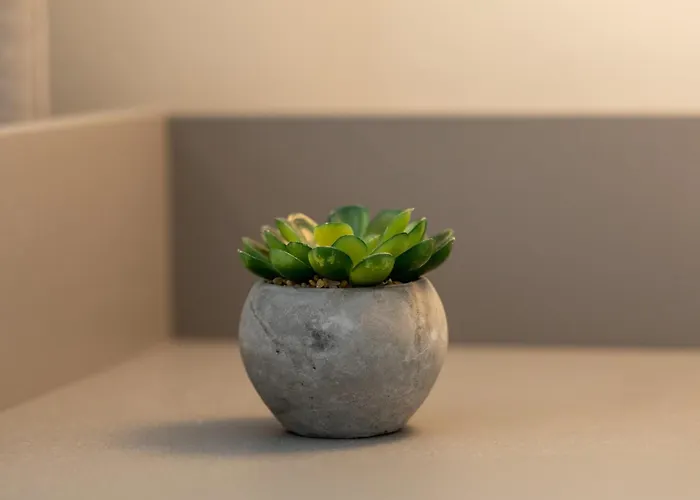 Lights & Comfort - 2br Boekarest