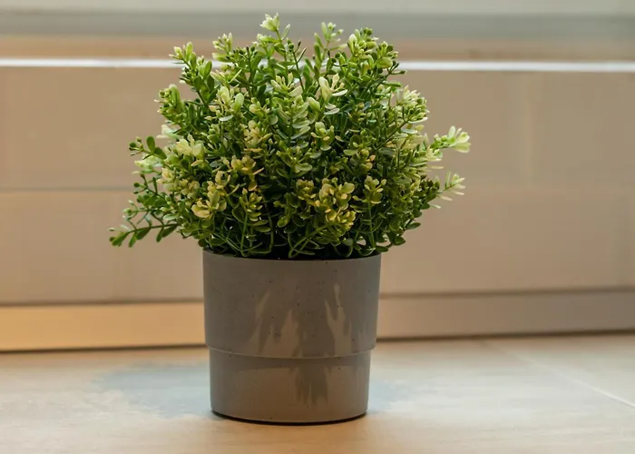 Lights & Comfort - 2br *